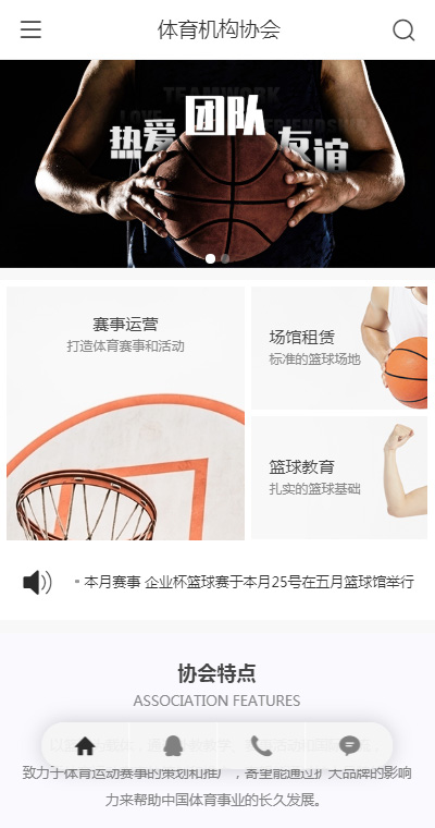 体育机构协会手机网站模板