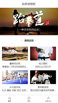 大气健身跆拳道手机网站模板