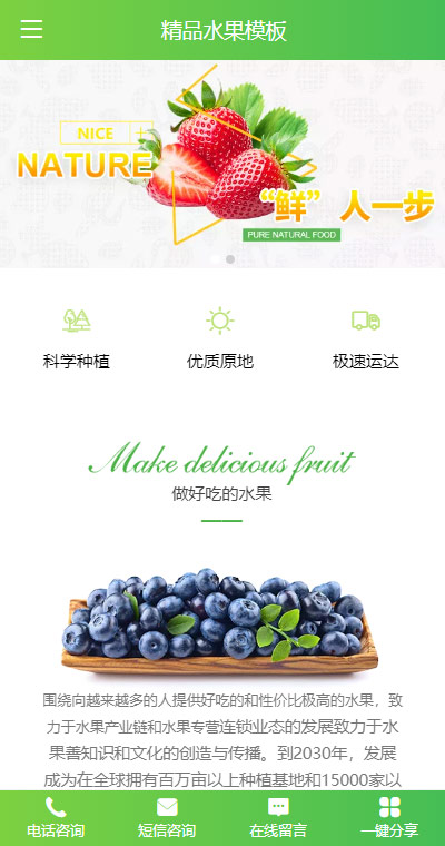 个性水果蔬菜食材手机网站模板