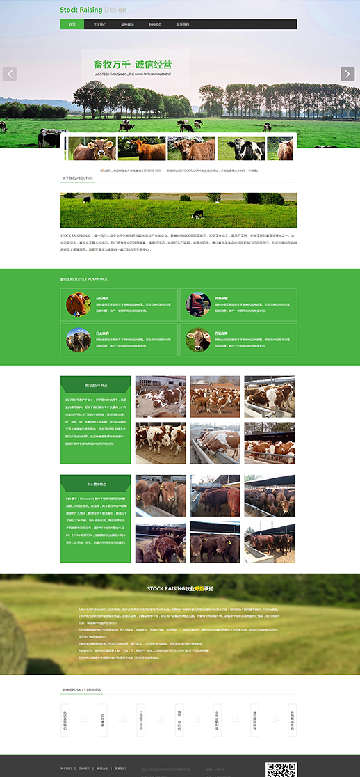 简洁牲畜养牛场网站模板