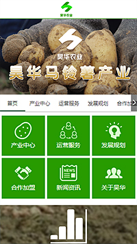 企业网站建设