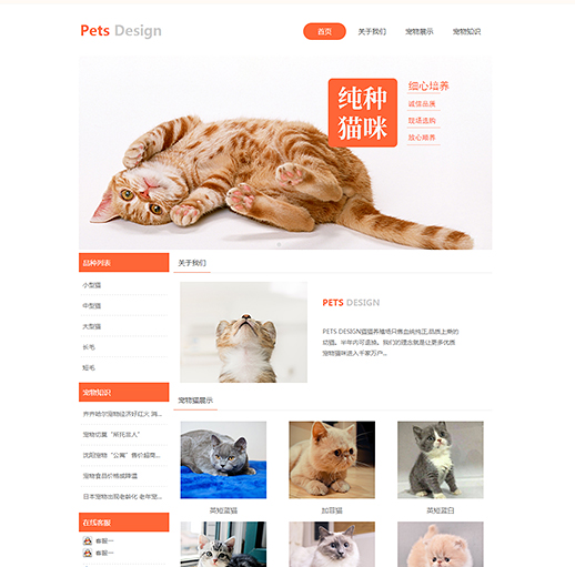 宠物猫领养网站模板