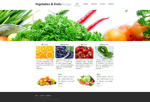 简约红萝卜蔬菜网站模板
