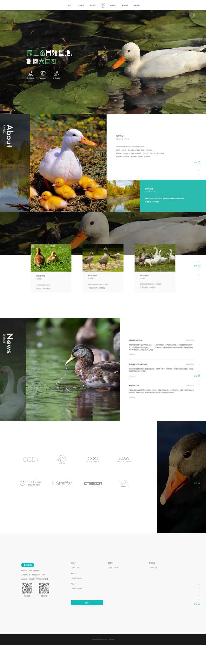 专业家禽养殖服务网站模板