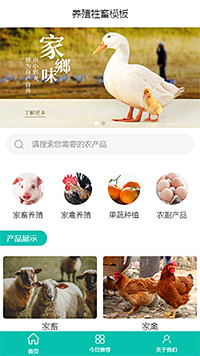 原创养殖牲畜家禽手机网站模板