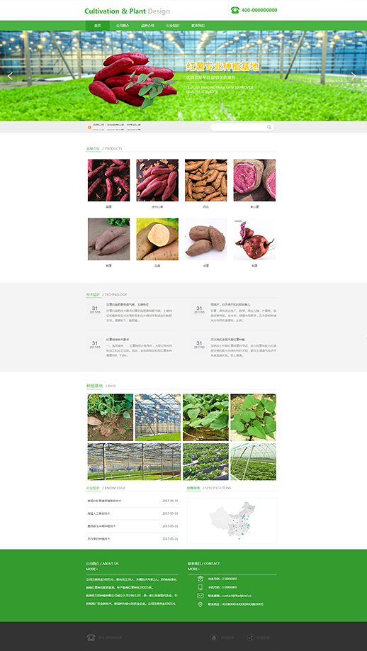 清洗红薯育苗种植农场网站模板