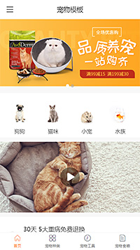 创意宠物猫手机网站模板