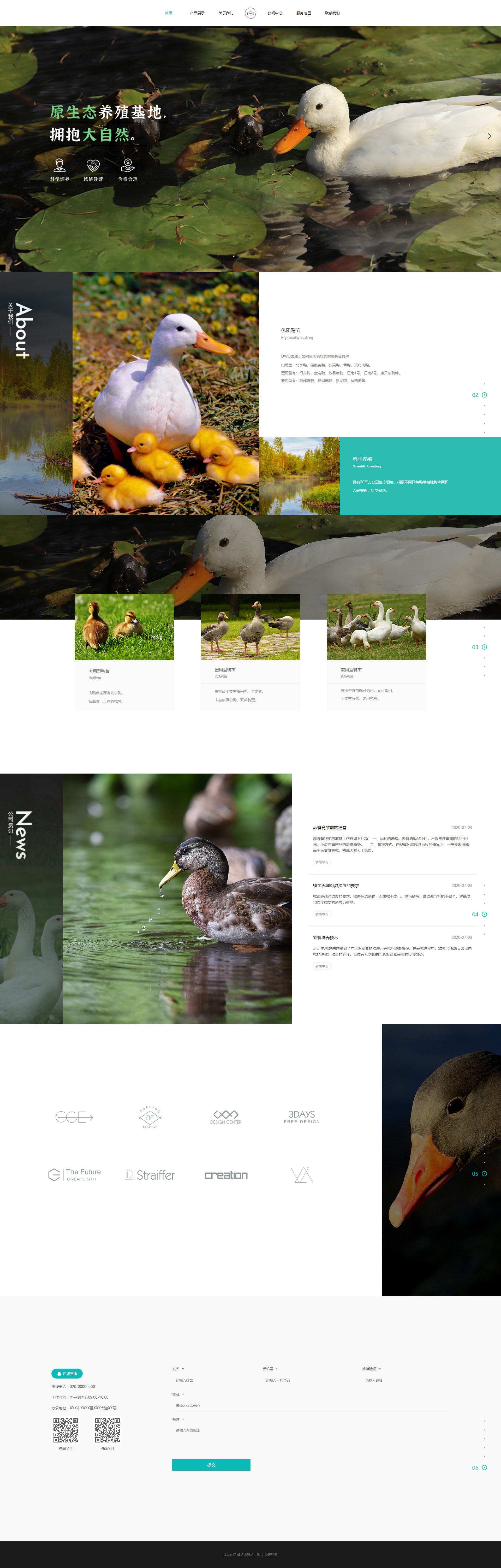 专业家禽养殖服务自适应网站模板