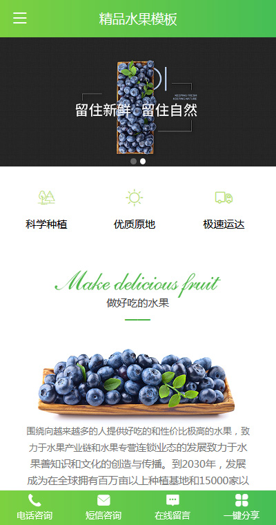 个性水果蔬菜食材手机网站模板