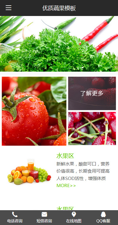 简约红萝卜蔬菜手机网站模板
