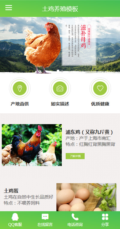 漂亮土鸡家禽养殖农场手机网站模板