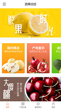 精品蔬果水果柚子
