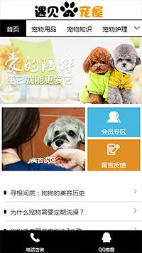企业网站建设