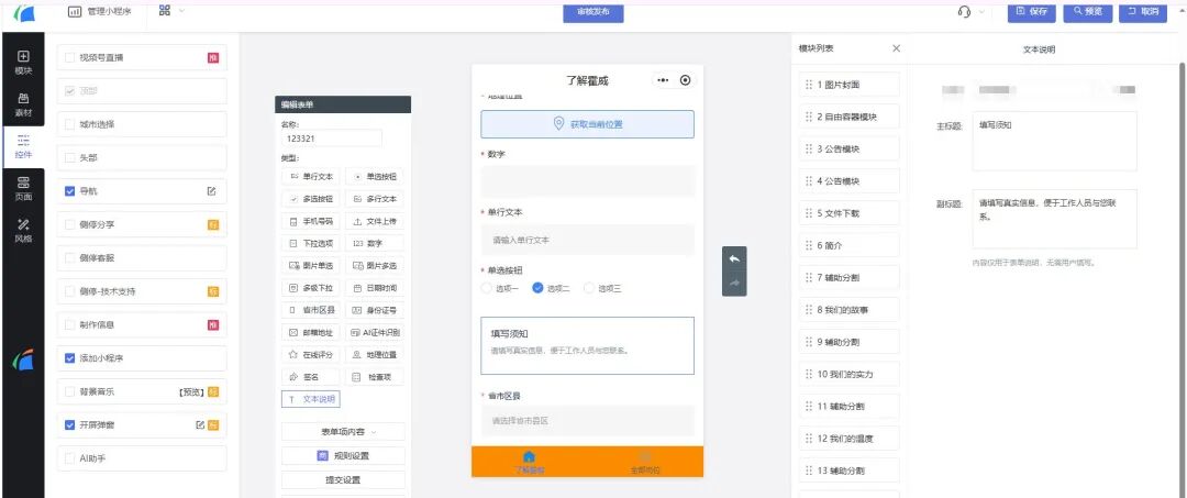 文字说明在表单中的展示效果