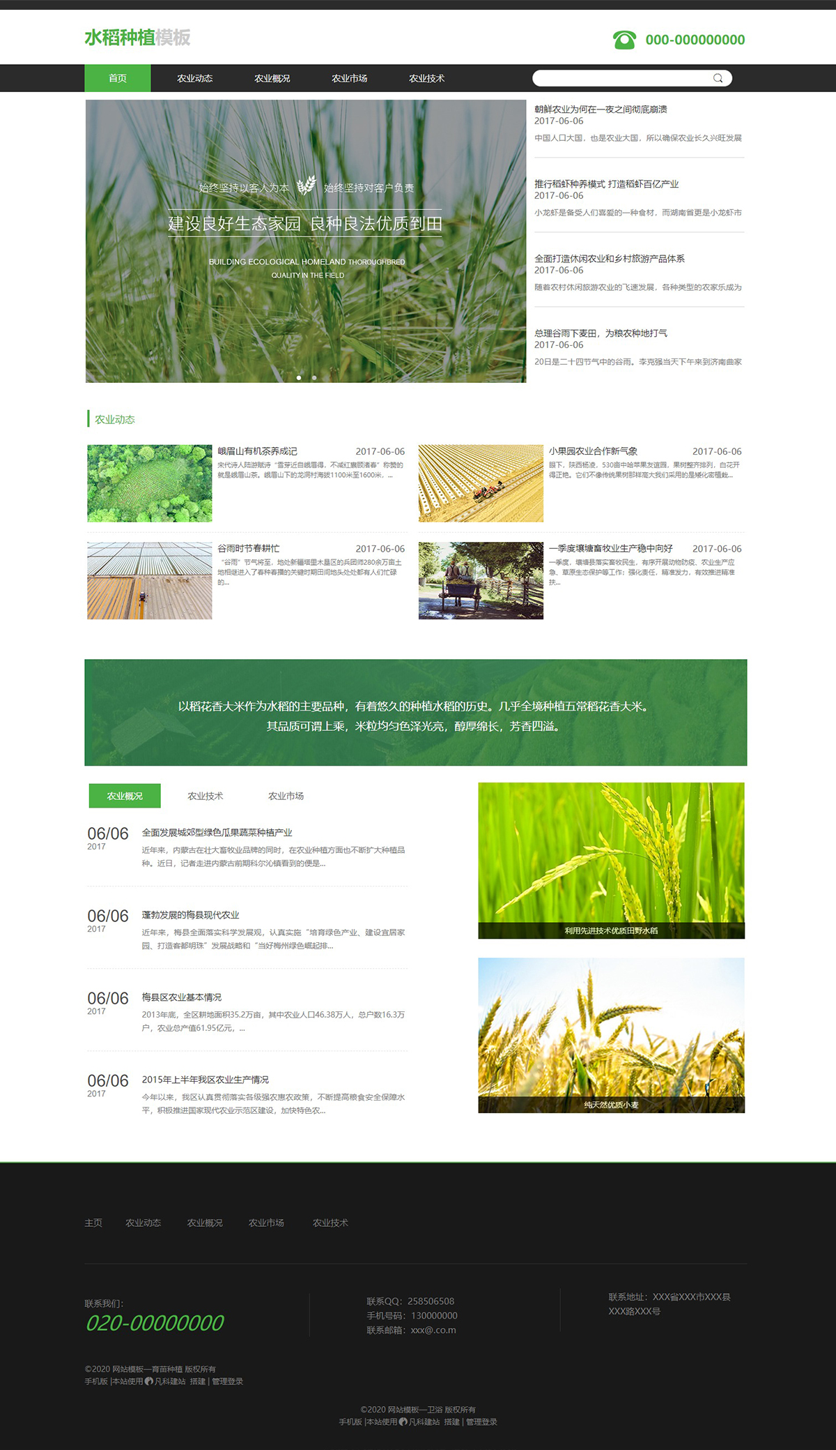 绿色育苗种植水稻农田官网模板