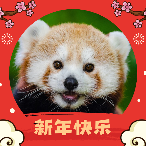 公众号头像设计怎么显得更加醒目? 公众号头像设计怎么显得更加醒目?
