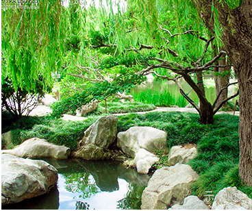 网站建设怎么制作网站,网站制作怎么做? 网站建设怎么制作网站,网站制作怎么做?