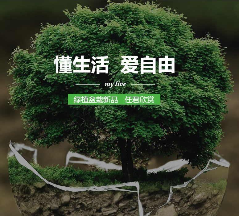 手机网站建设有什么优势,手机网站制作能带来流量吗？