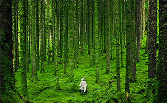 网站搭建需要准备什么东西,网站建设教程分享【干货】！