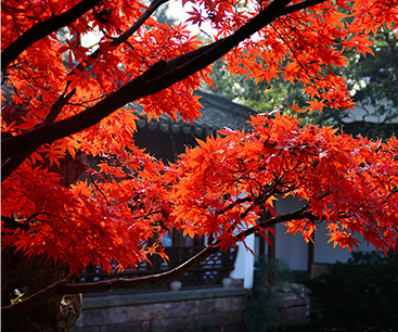 网站定制开发的成本高吗,网站定制值得做吗？