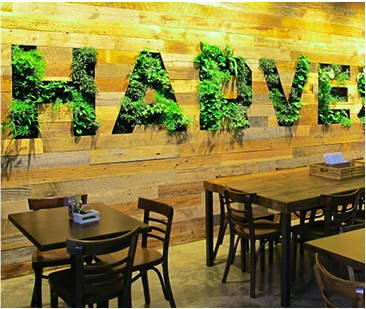 微信网站怎么制作,微信网站可以使用智能建站系统建设吗? 微信网站怎么制作,微信网站可以使用智能建站系统建设吗?