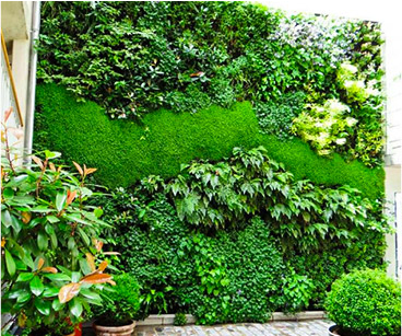 网站建设有哪些流程,网站怎么制作？