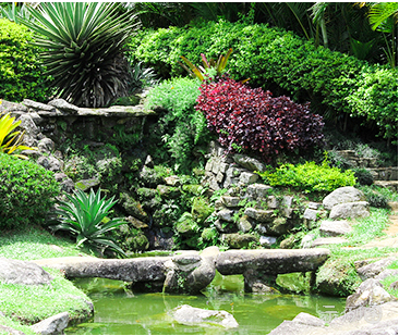 网站打开速度变慢是什么原因造成的,网站打开速度变慢怎么解决？