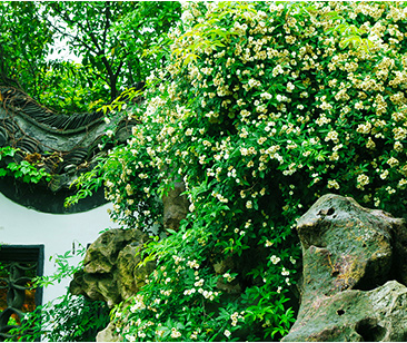 怎么快速制作一个H5单页面网站,H5单页面网站制作过程分享 怎么快速制作一个H5单页面网站,H5单页面网站制作过程分享