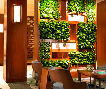 网站域名惠州有哪些,网站域名怎么挑选合适的域名？