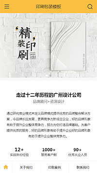 个性印刷包装传单