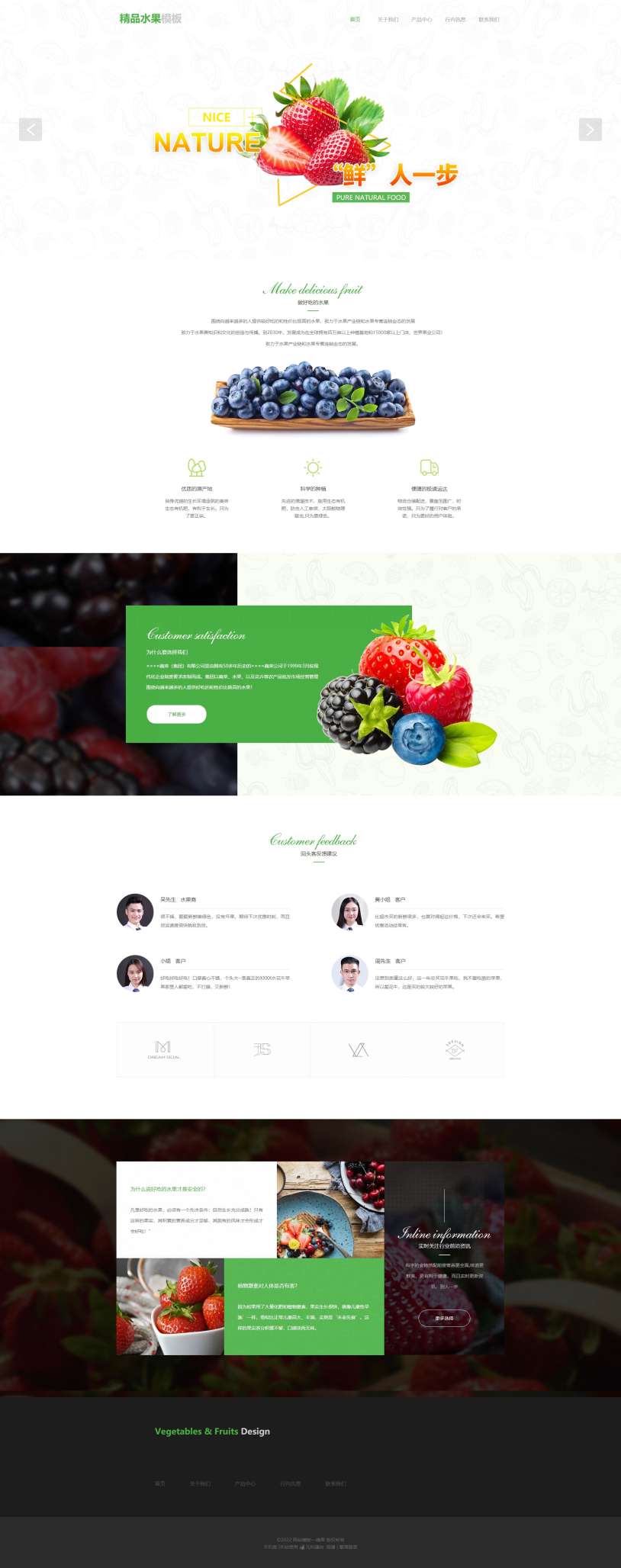 个性水果蔬菜食材网站模板