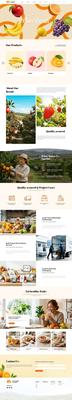 B2B-优质外贸蔬果网站模板