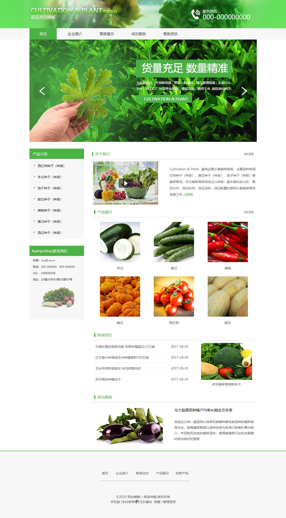 精品蔬菜育苗种植农贸公司模板