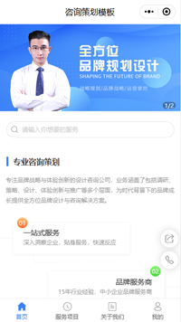 在线咨询系统-在线咨询客服系统小程序搭建模板