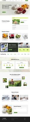 B2B-简约外贸食品添加剂网页模板