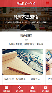 互联网经典手机端模板