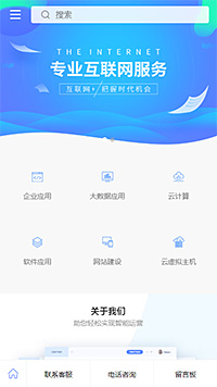 专业互联网服务