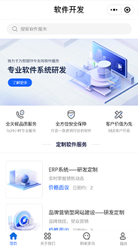 软件开发公司小程序模板
