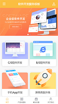 专业软件开发