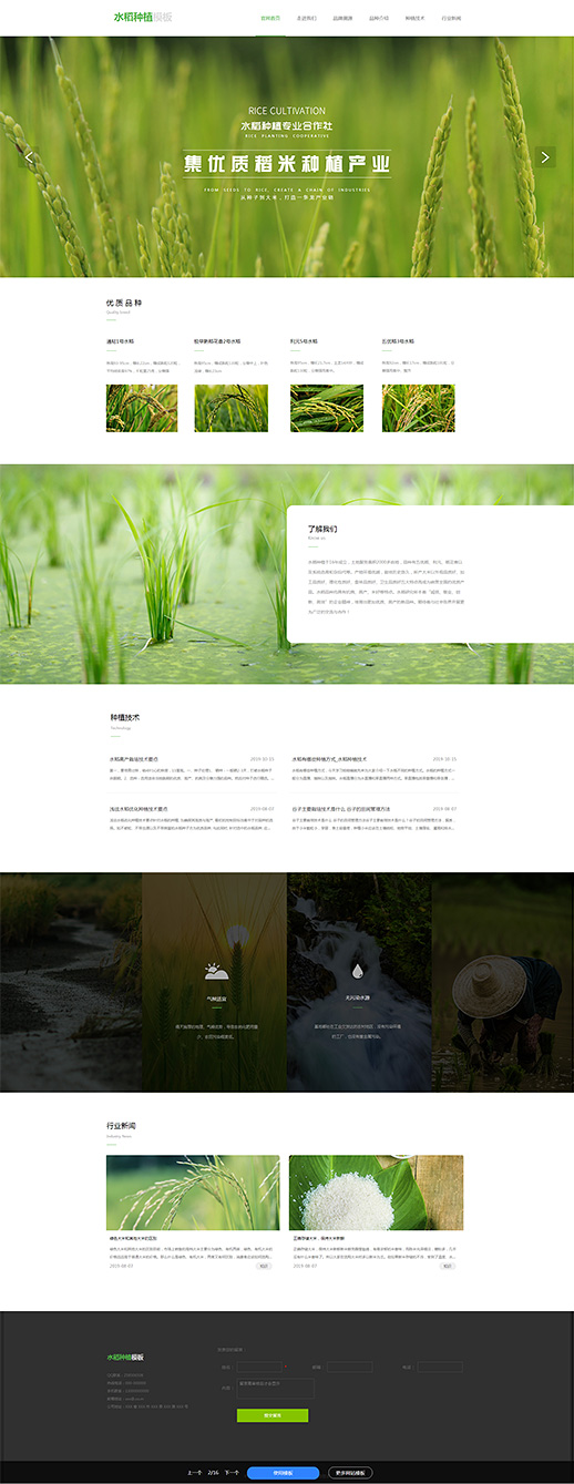 优质水稻种植培育网站模板
