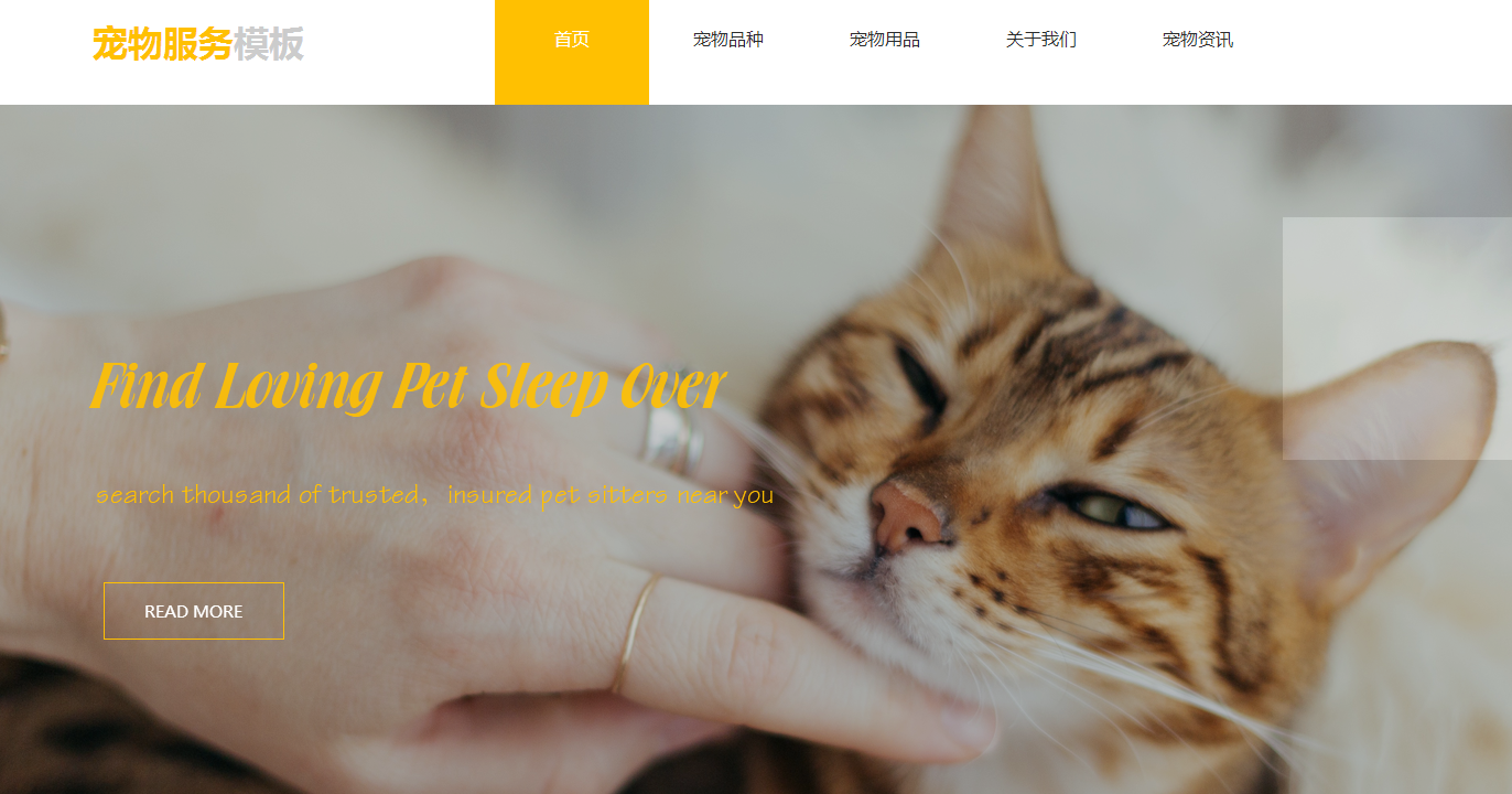 绍兴网站建设中宠物类的企业网站如何建立呢