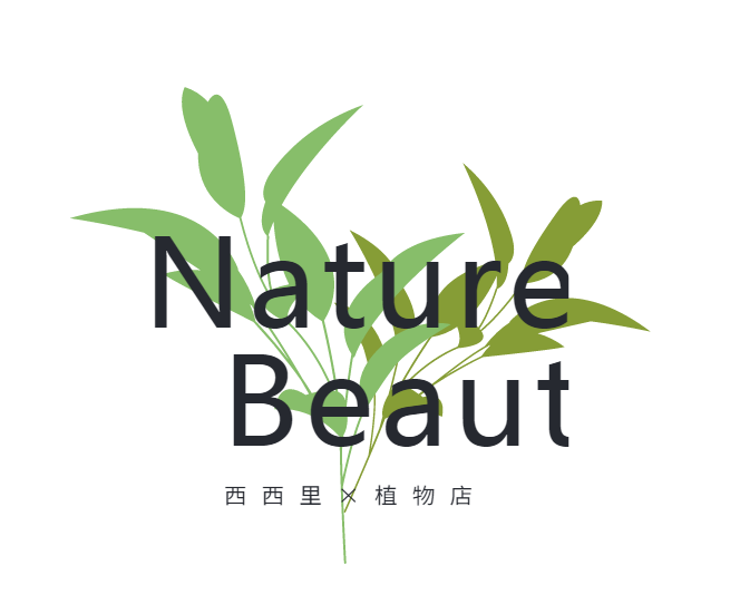 植物logo设计