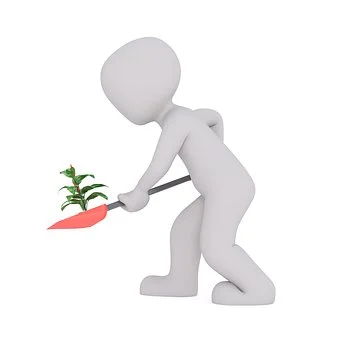 【农业电商商城开发】农业电商商城开发有何作用？